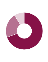 Pie chart displaying areas of revenue in £s million