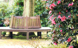 A bench and flowers in a garden of remembrance