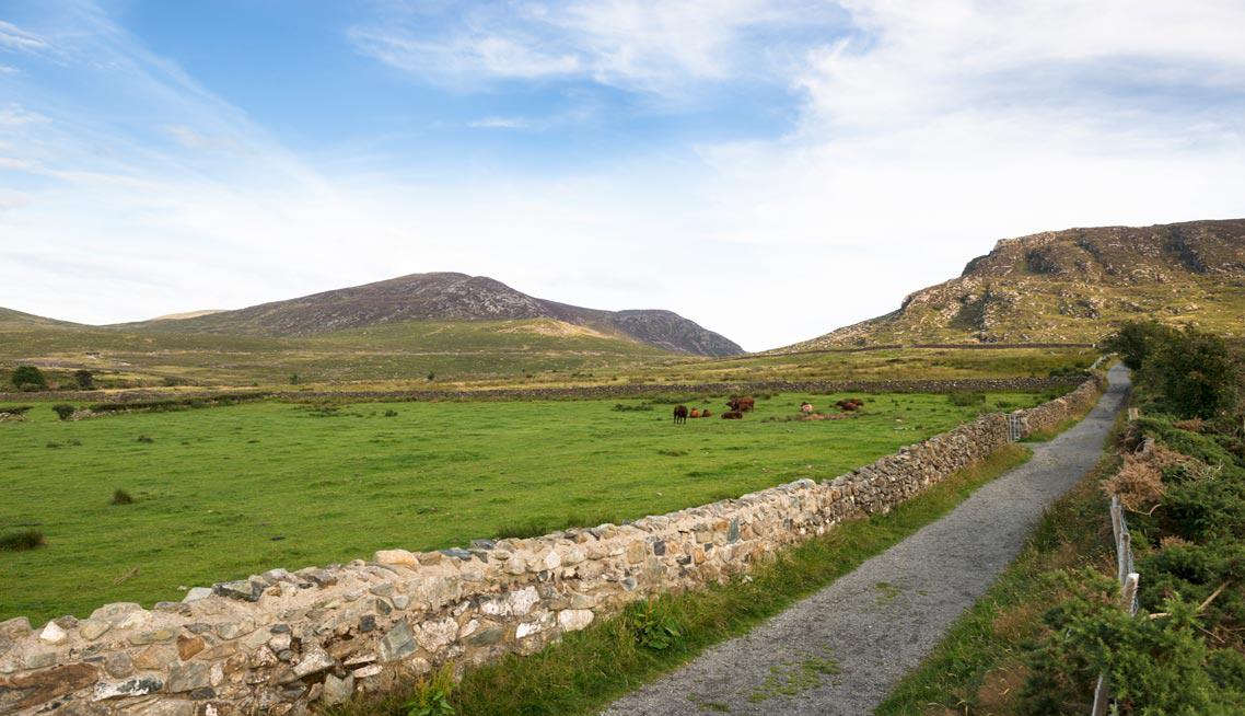 Funeral directors in County Down