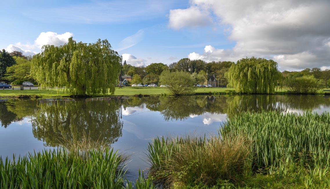 Funeral Directors in Esher