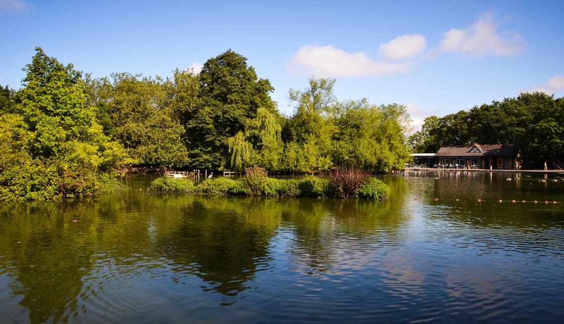 Funeral Directors in Finsbury Park