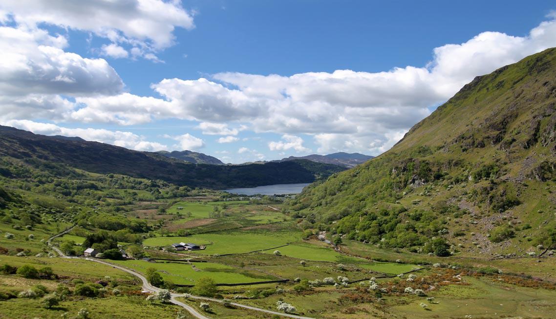 Funeral directors in Wales