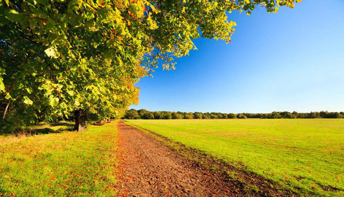 Funeral Directors in Wimbledon
