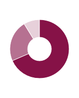 Pie chart displaying areas of revenue in £s million