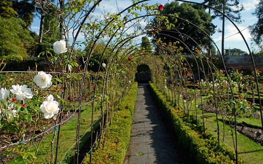 Randalls Park Crematorium Gardens