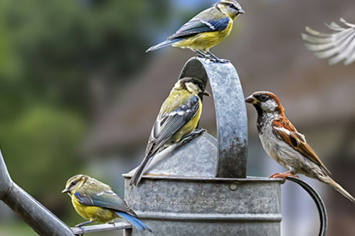 Funeral Notice Profile Image