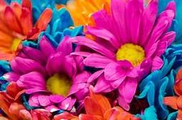 Funeral Notice Profile Image