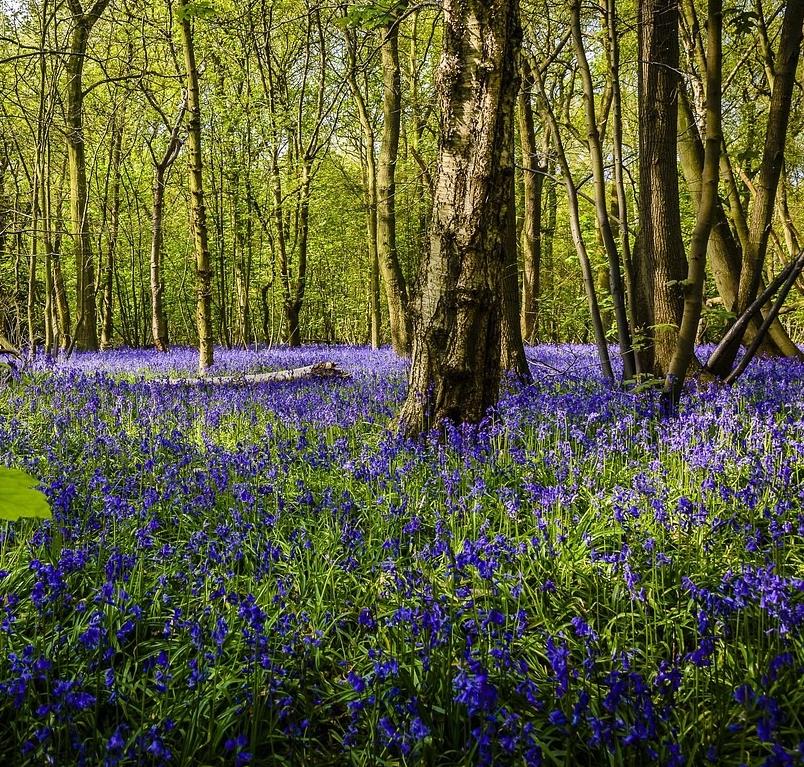 Funeral Notice Profile Image