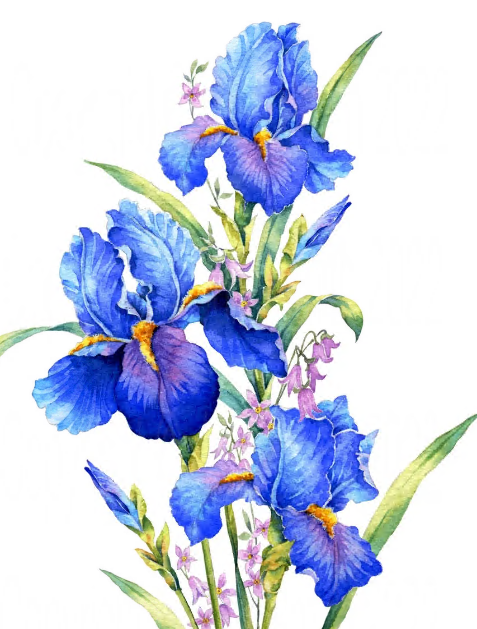 Funeral Notice Profile Image