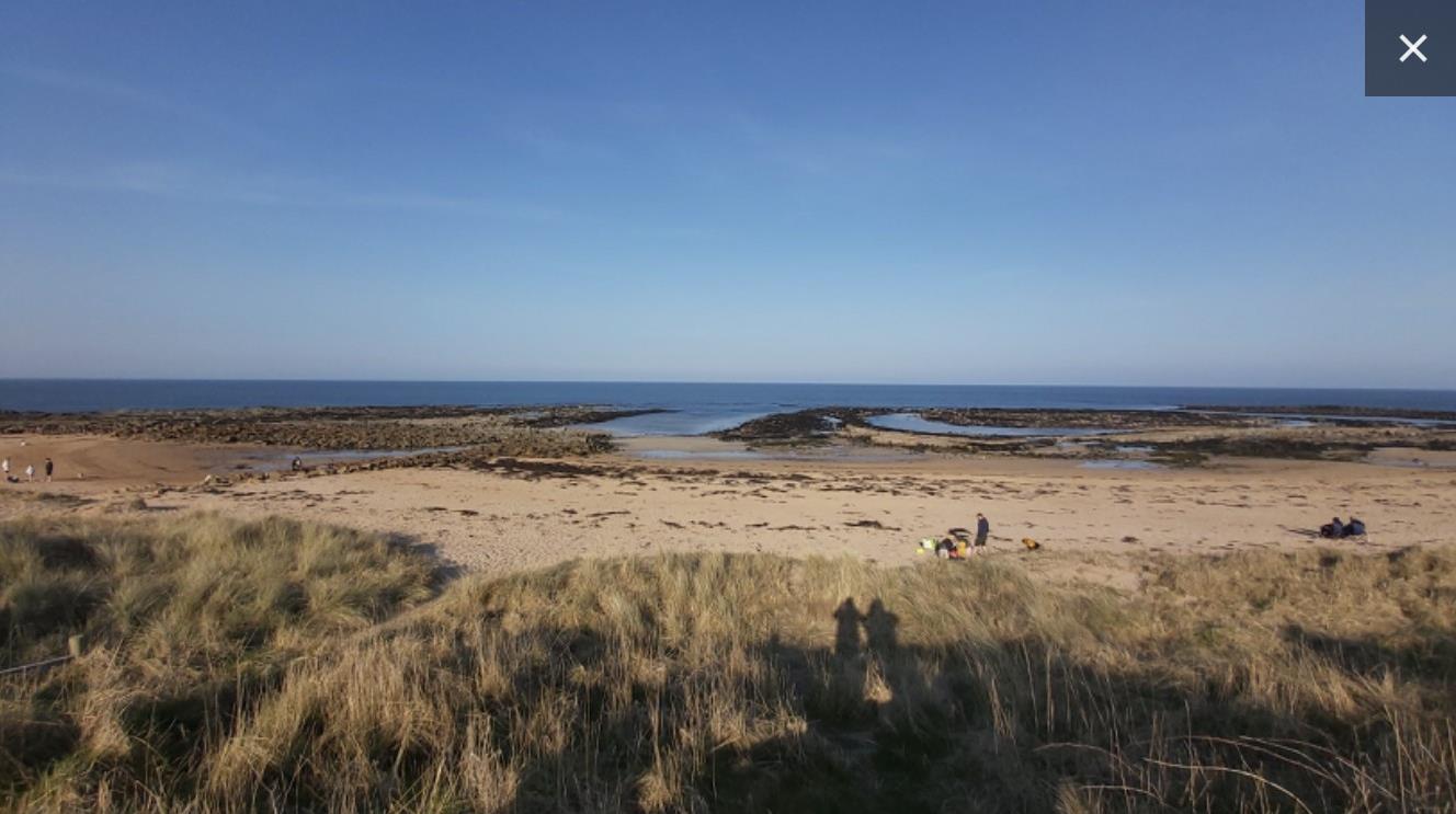 Funeral Notice Profile Image