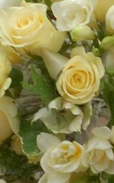 Funeral Notice Profile Image