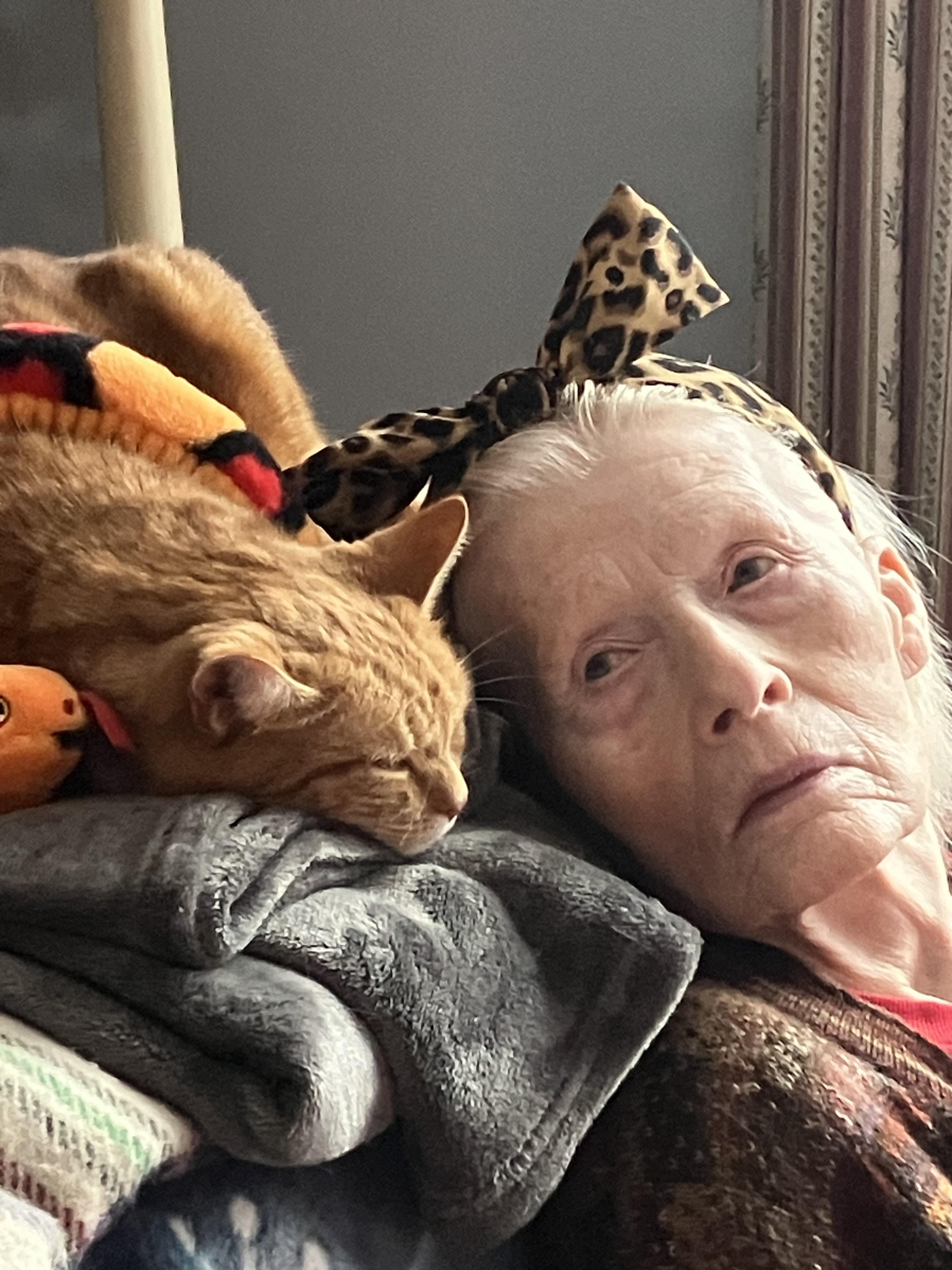 Funeral Notice Profile Image