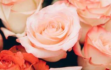Funeral Notice Profile Image
