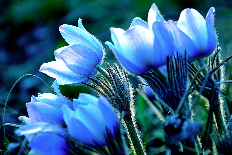 Funeral Notice Profile Image