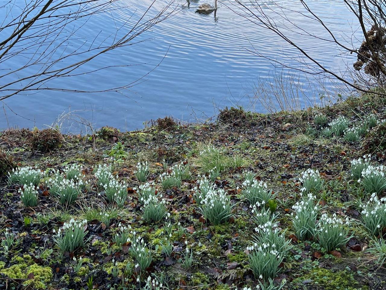 Funeral Notice Profile Image