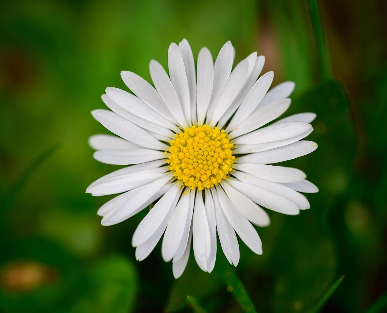Funeral Notice Profile Image