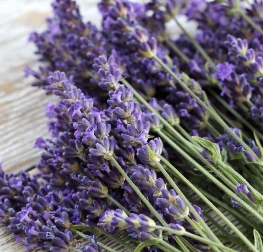 Funeral Notice Profile Image