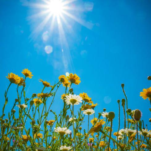 Funeral Notice Profile Image