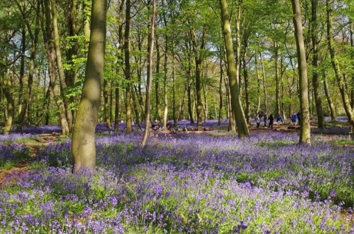 Funeral Notice Profile Image