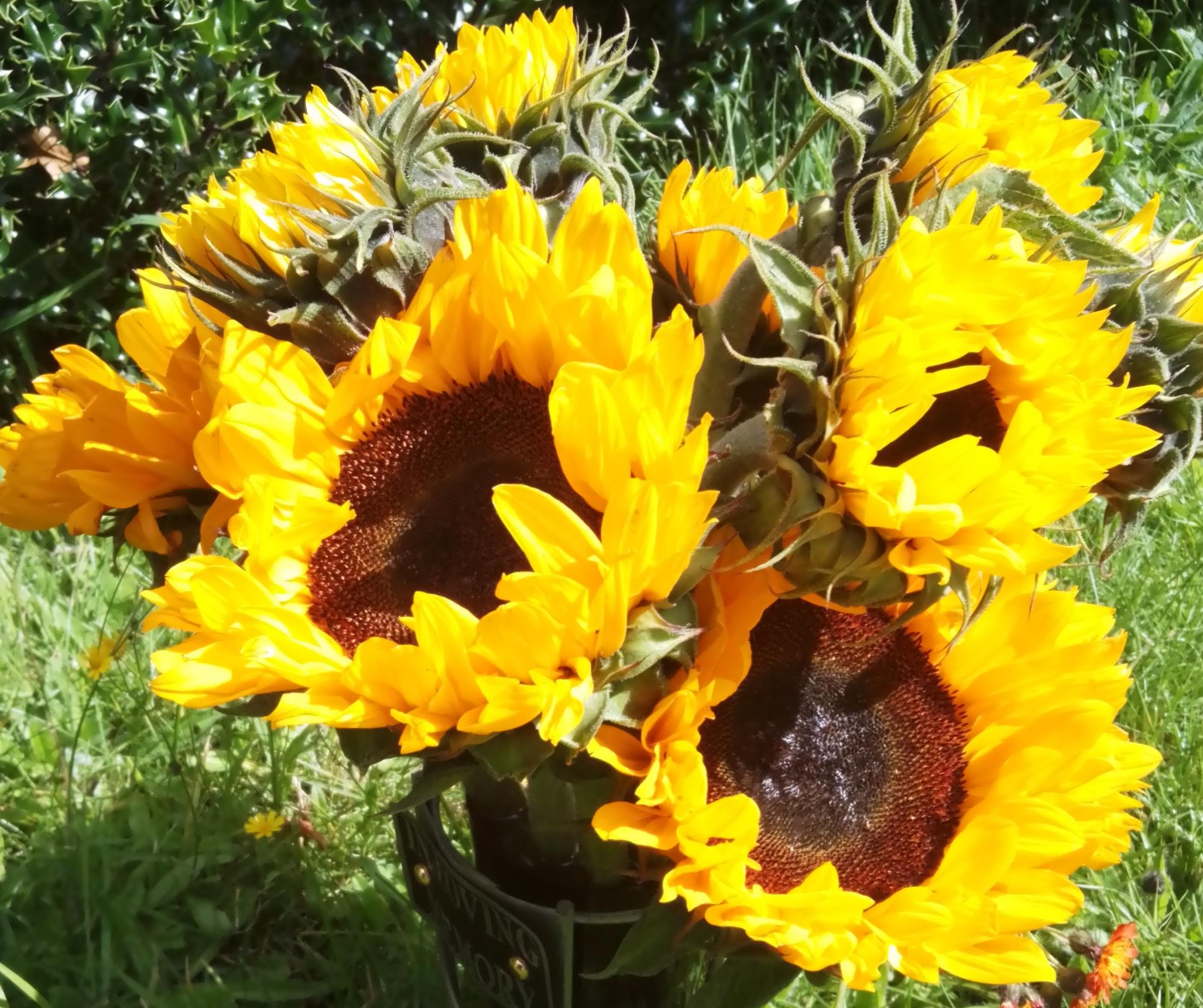 funeral-notice-for-mrs-kathleen-fairbrother