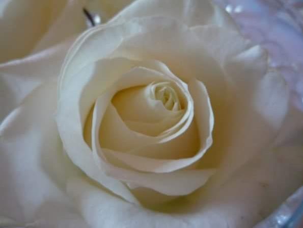 Funeral Notice Profile Image