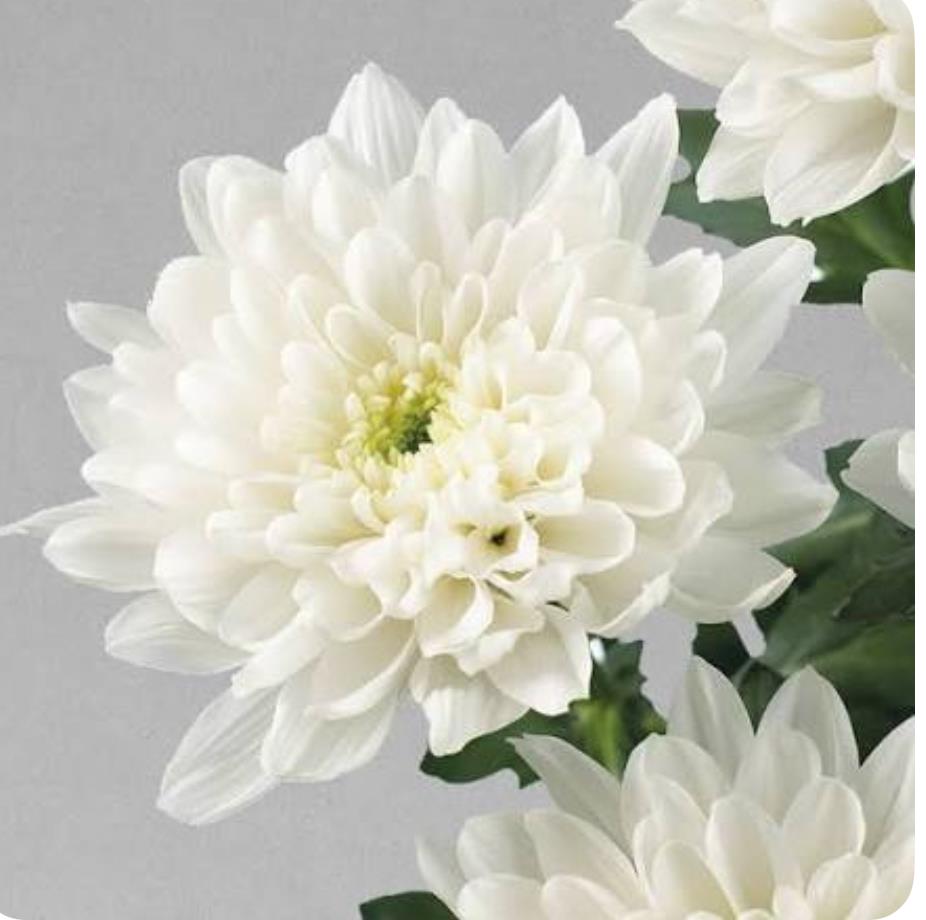 Funeral Notice Profile Image