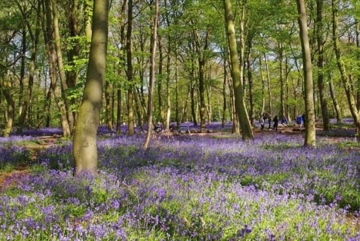 Funeral Notice Profile Image