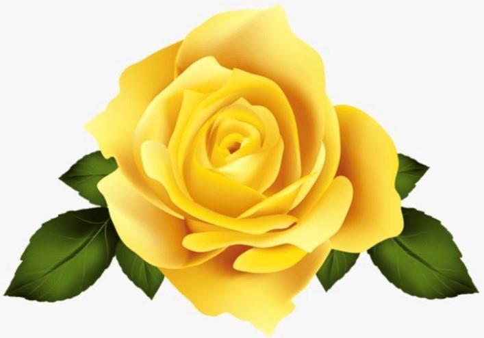 Funeral Notice Profile Image