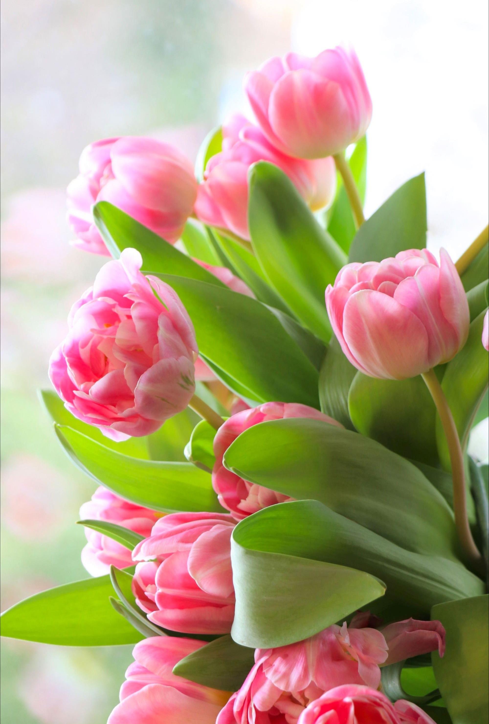 Funeral Notice Profile Image