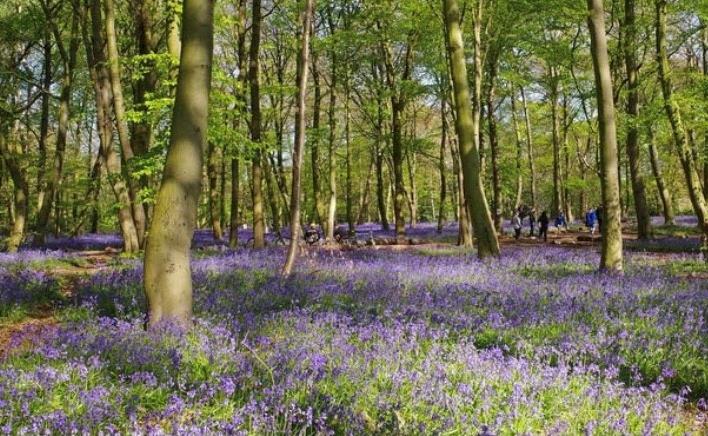 Funeral Notice Profile Image