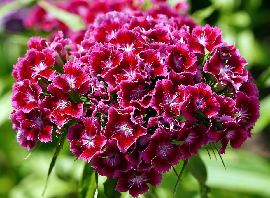Funeral Notice Profile Image
