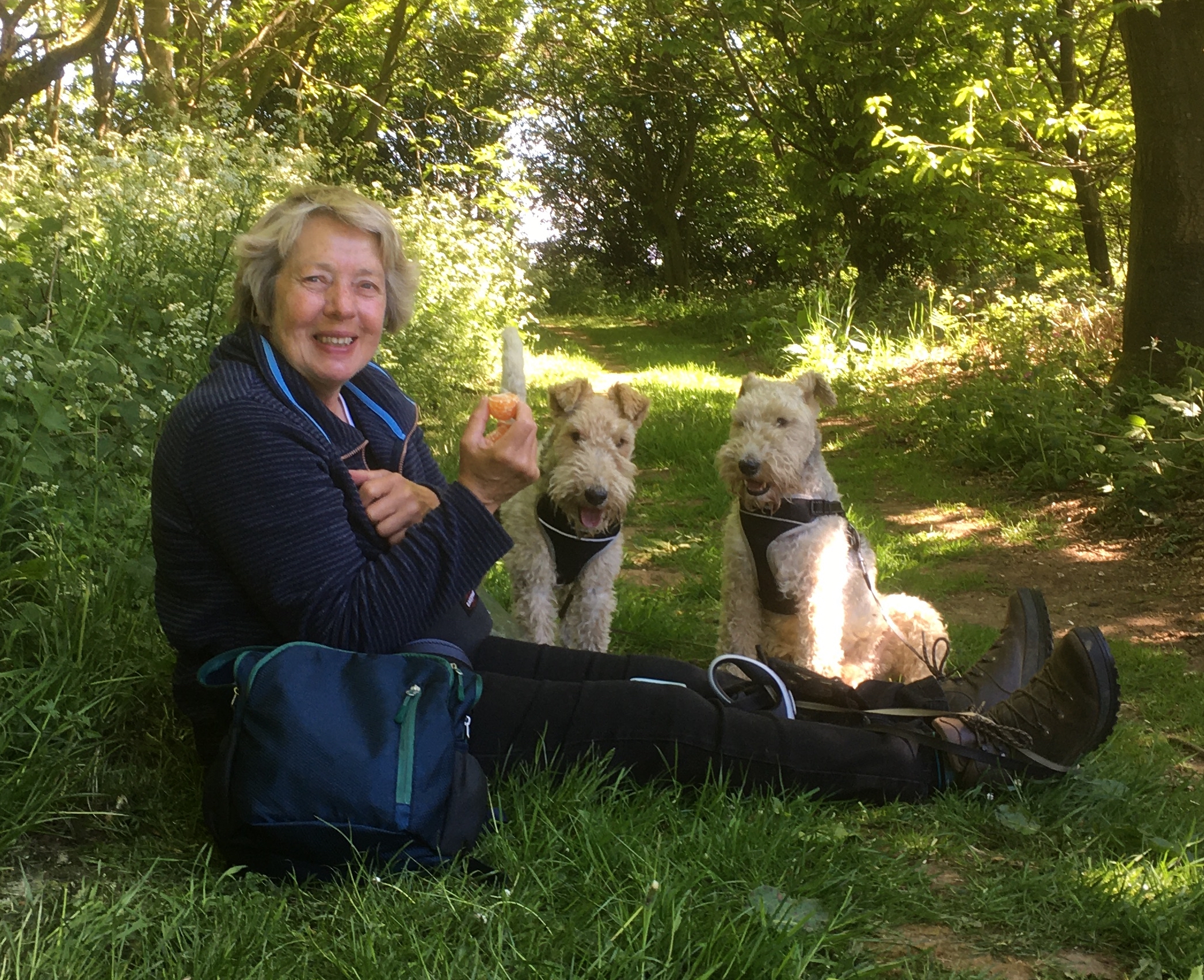 Funeral Notice Profile Image