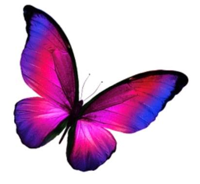 Funeral Notice Profile Image