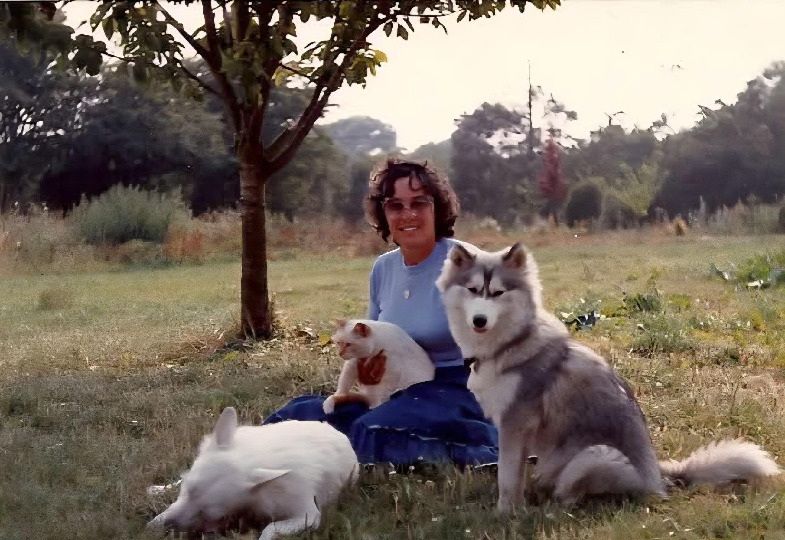 Funeral Notice Profile Image