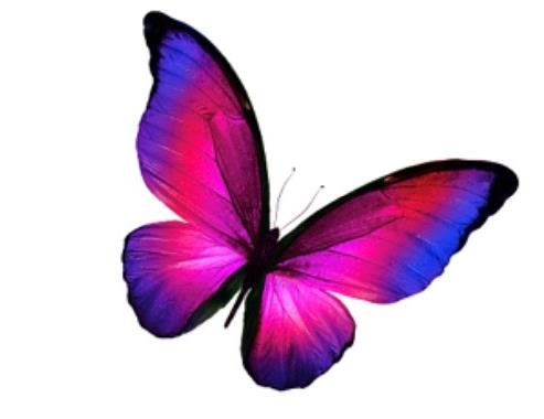 Funeral Notice Profile Image