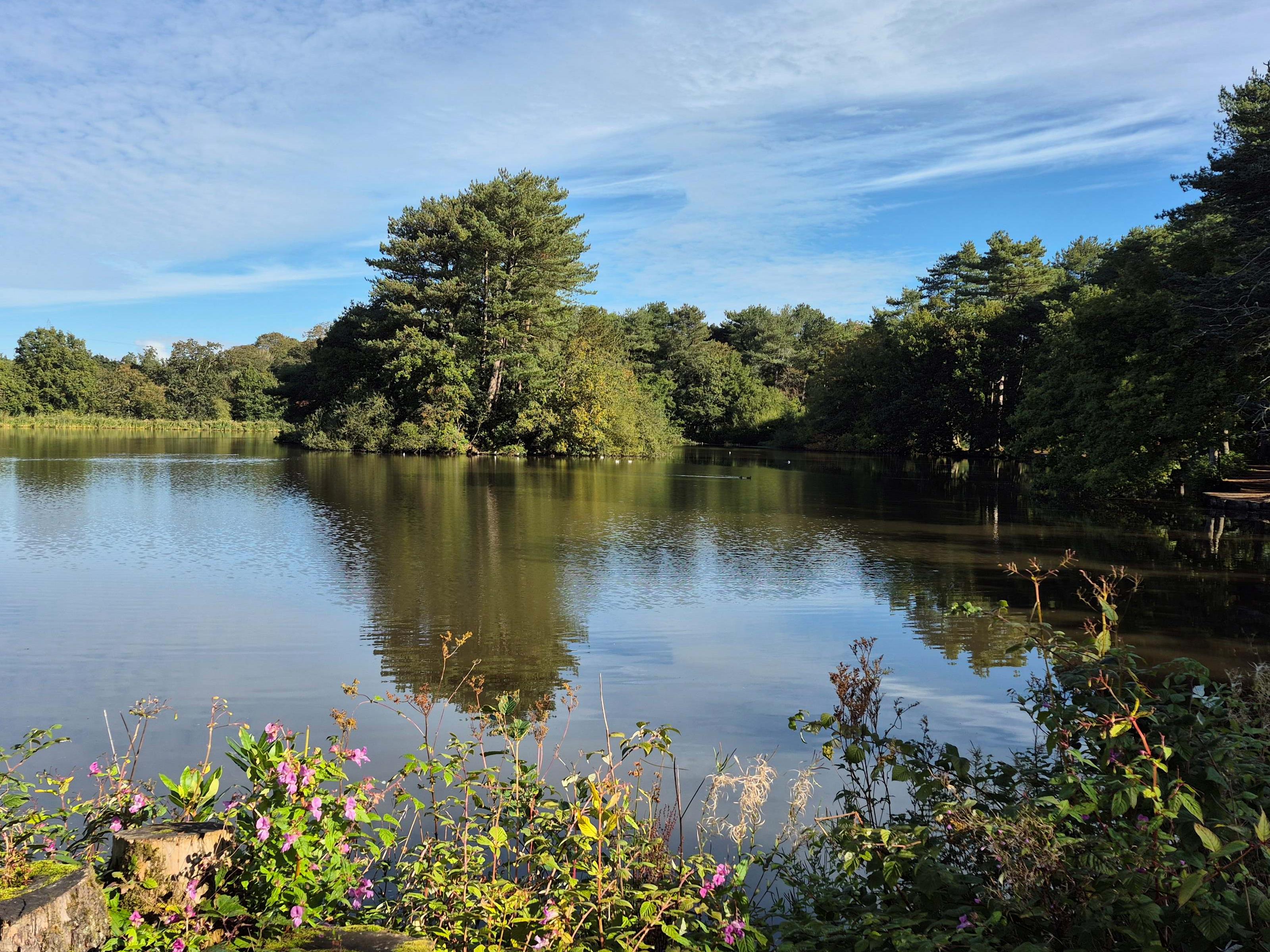 Funeral Notice Profile Image