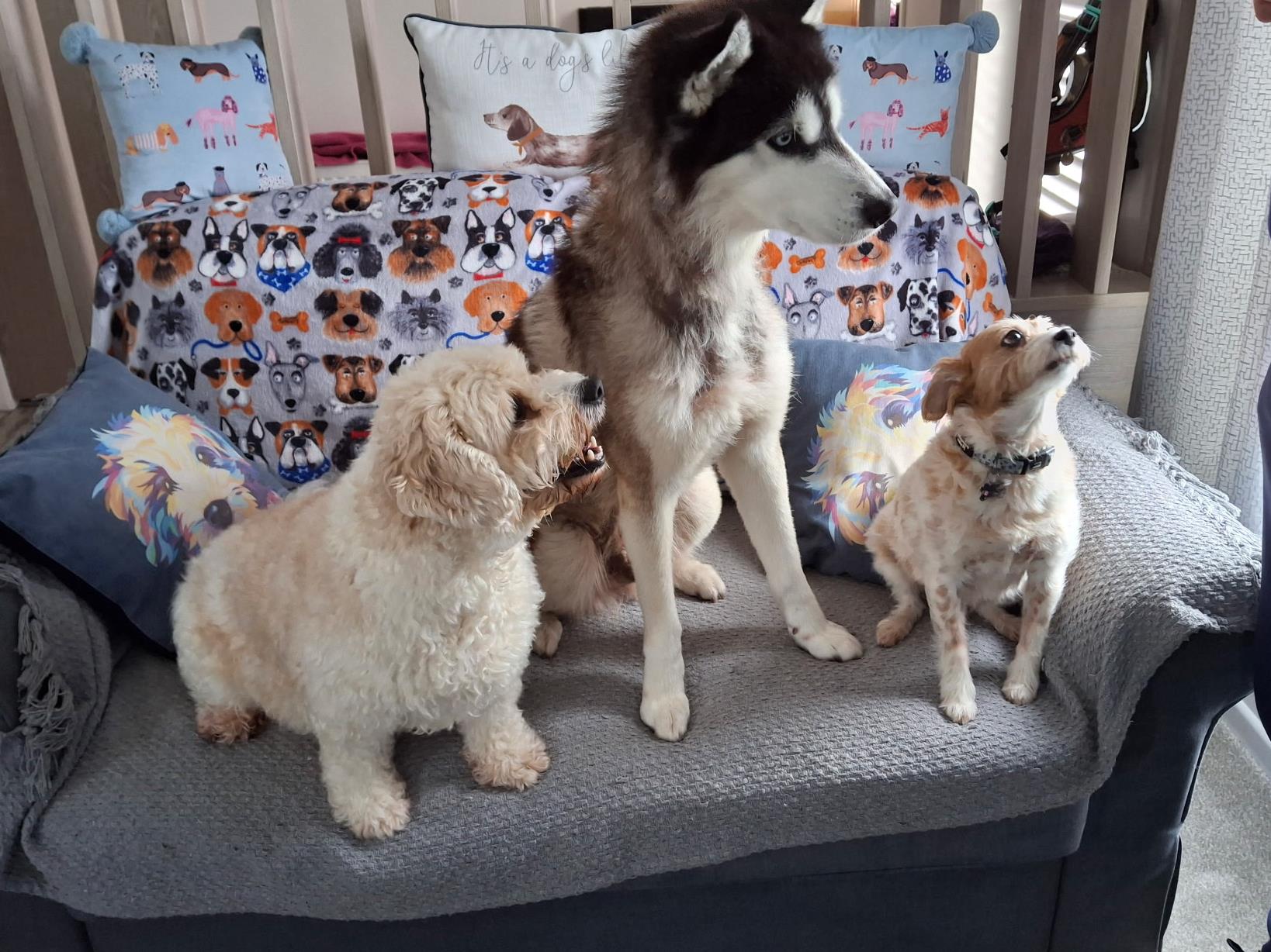 Funeral Notice Profile Image