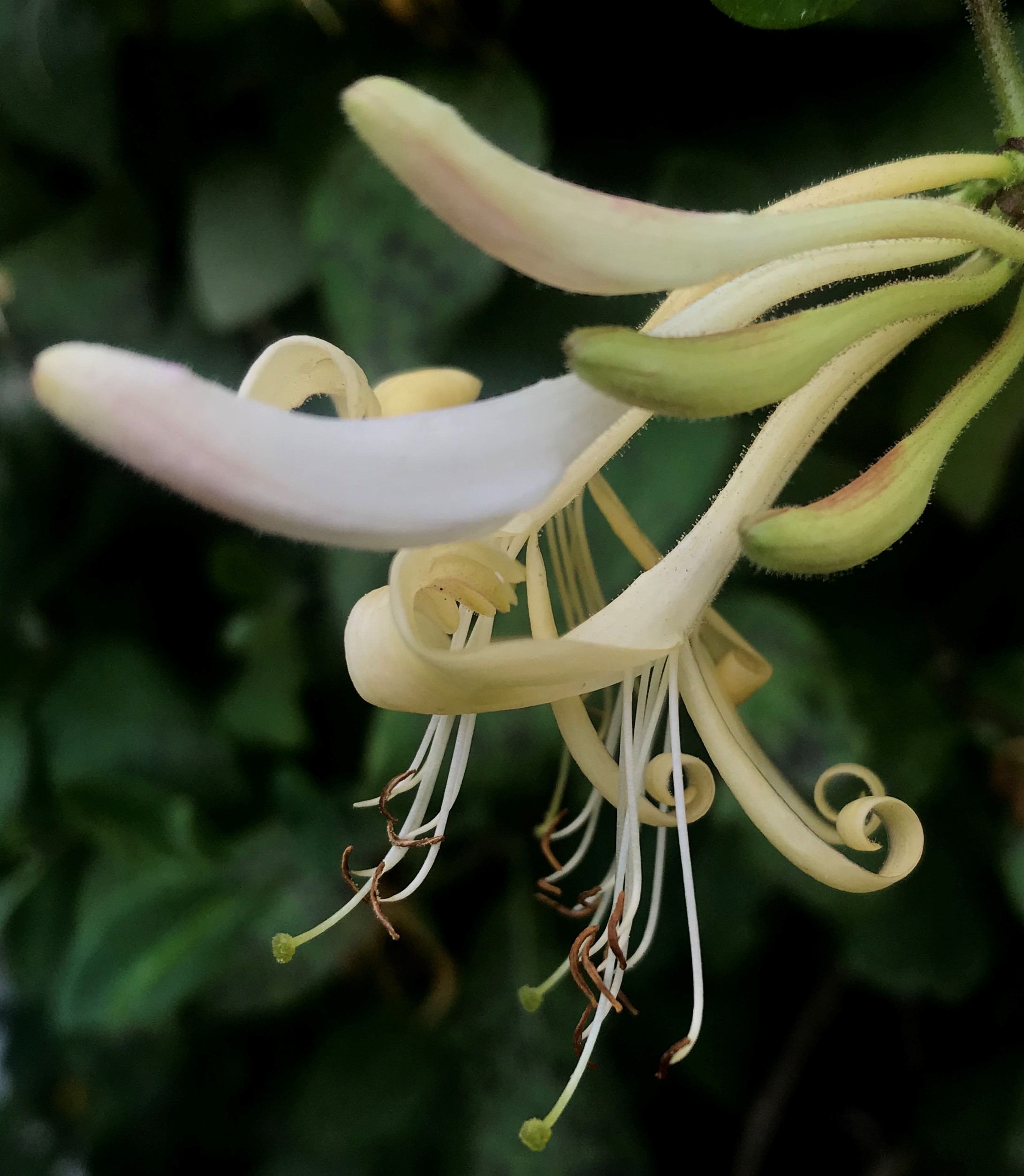 Funeral Notice Profile Image