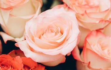 Funeral Notice Profile Image