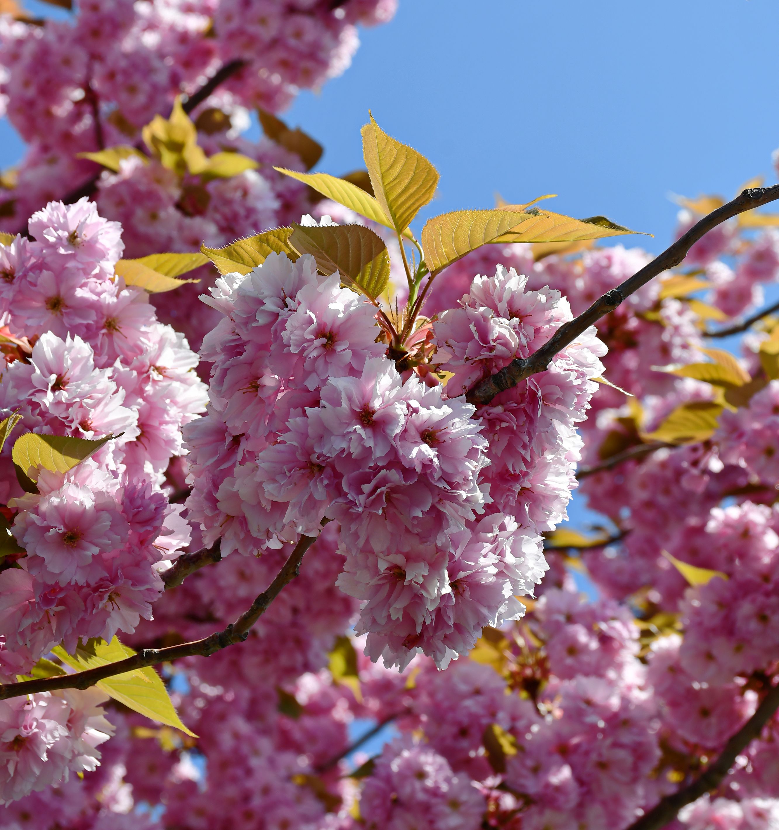 Funeral Notice Profile Image