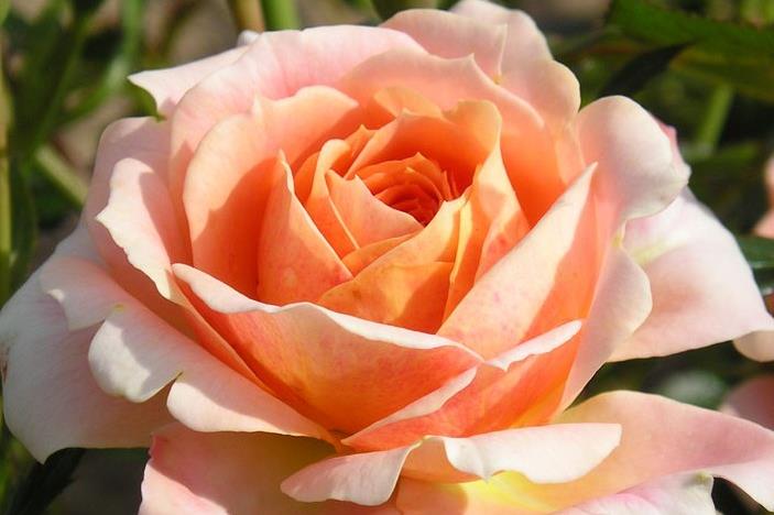 Funeral Notice Profile Image