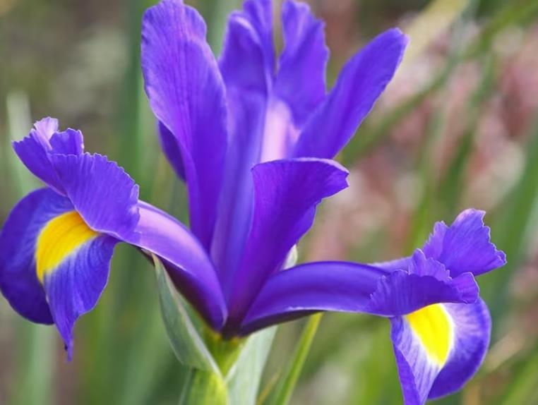 Funeral Notice Profile Image