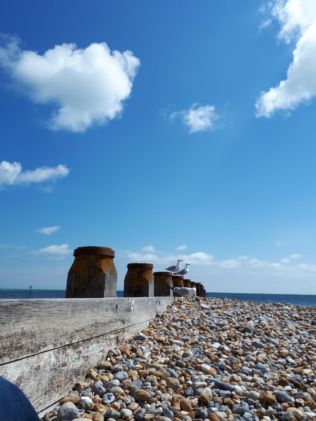 Funeral Notice Profile Image