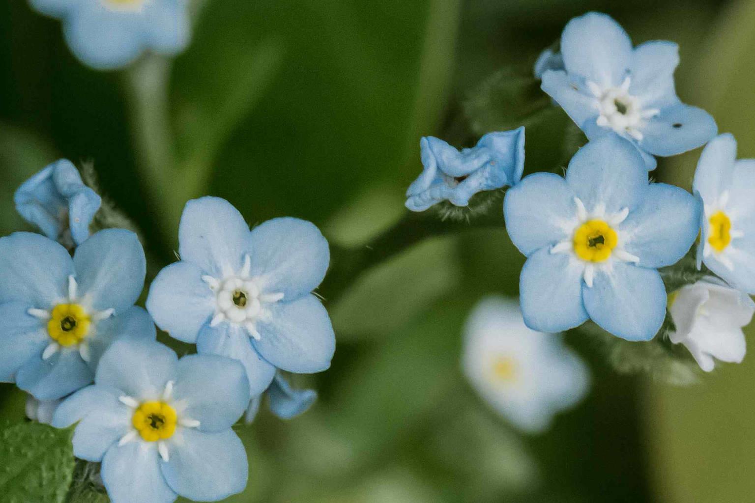 Funeral Notice Profile Image