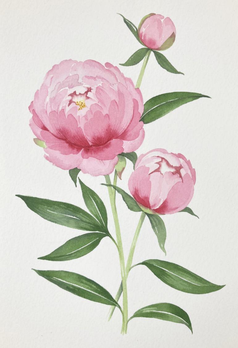 Funeral Notice Profile Image