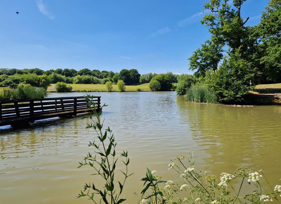 Funeral Notice Profile Image