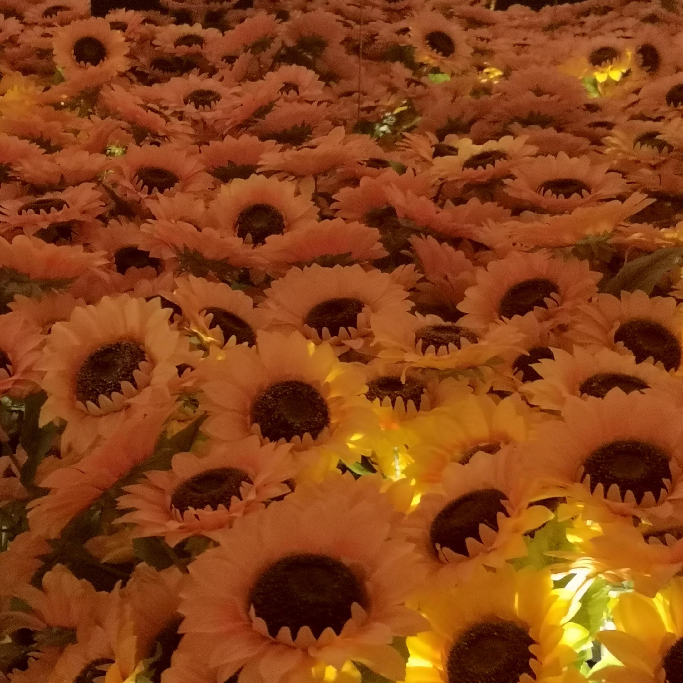 Funeral Notice Profile Image