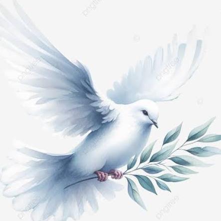 Funeral Notice Profile Image