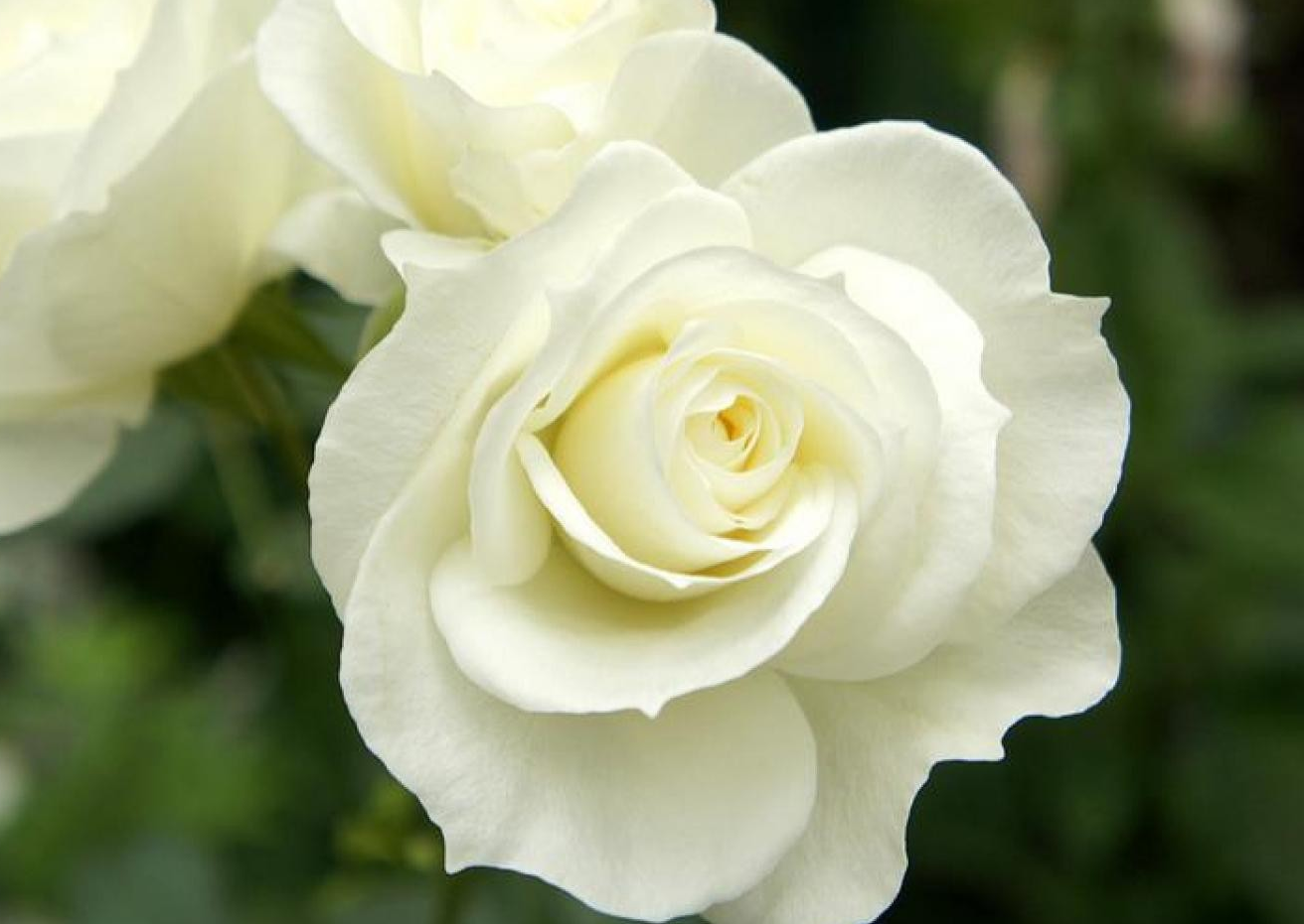 Funeral Notice Profile Image