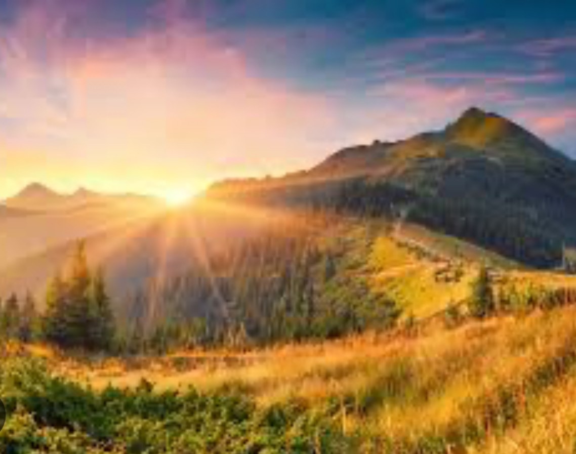 Funeral Notice Profile Image